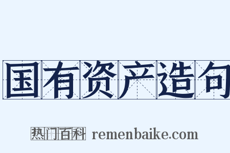 国有资产造句是什么意思的图片